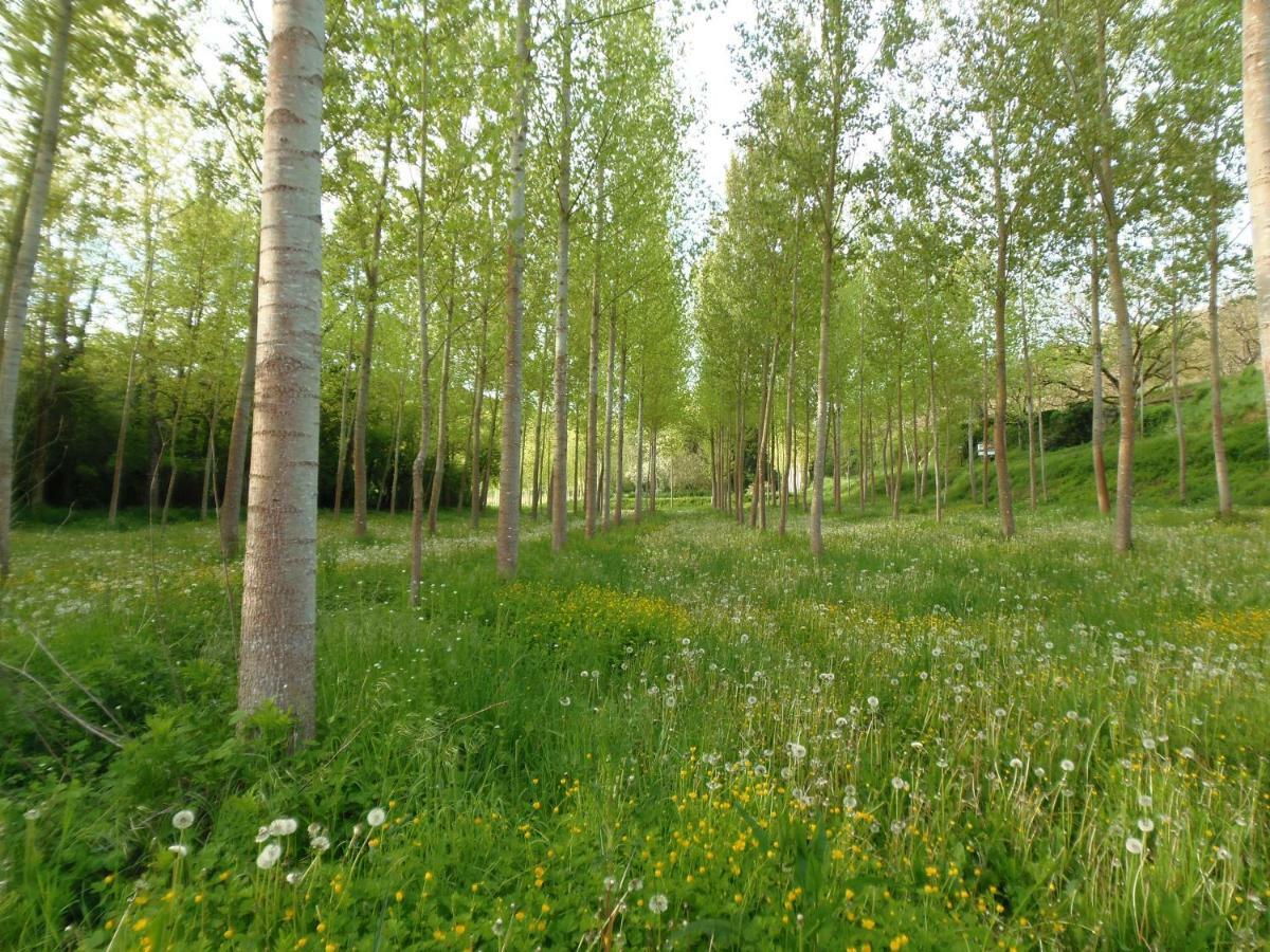 La Chabotine Bed & Breakfast Allas-Les-Mines Dış mekan fotoğraf
